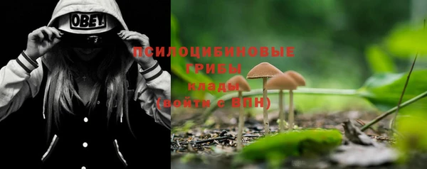 дурь Вяземский