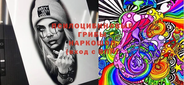 дурь Вяземский