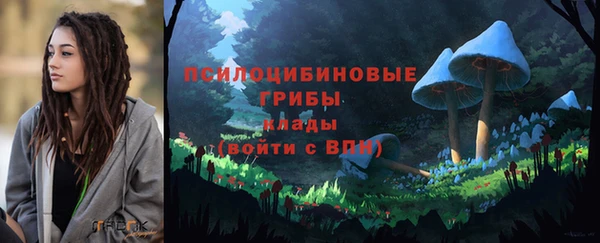 дурь Вяземский