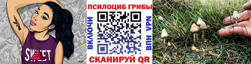 Купить закладки  Олонец  Галлюциногенные грибы прущие грибы 